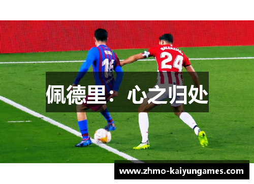佩德里:心之归处 佩德里:心之归处