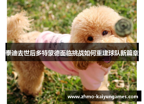 泰迪去世后多特蒙德面临挑战如何重建球队新篇章 泰迪去世后多特蒙德面临挑战如何重建球队新篇章