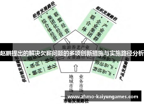 赵鹏提出的解决欠薪问题的多项创新措施与实施路径分析