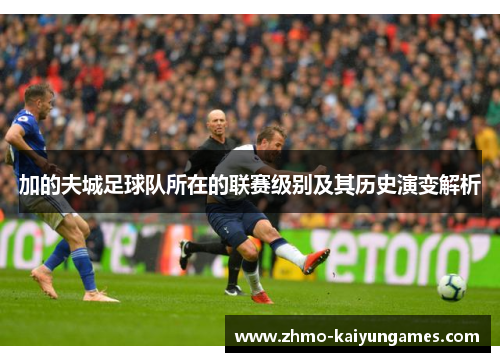 加的夫城足球队所在的联赛级别及其历史演变解析 加的夫城足球队所在的联赛级别及其历史演变解析