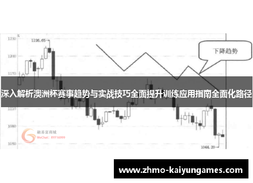 深入解析澳洲杯赛事趋势与实战技巧全面提升训练应用指南全面化路径