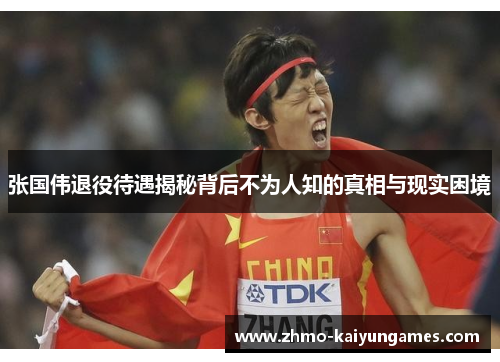 张国伟退役待遇揭秘背后不为人知的真相与现实困境 张国伟退役待遇揭秘背后不为人知的真相与现实困境