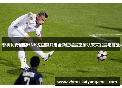 菲奥利奇加盟HNK戈里察开启全新征程展望球队未来发展与挑战